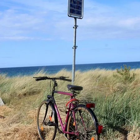 Apartamento Strandnahe Mit Terrasse Und Parkplatz By Interhome Zingst