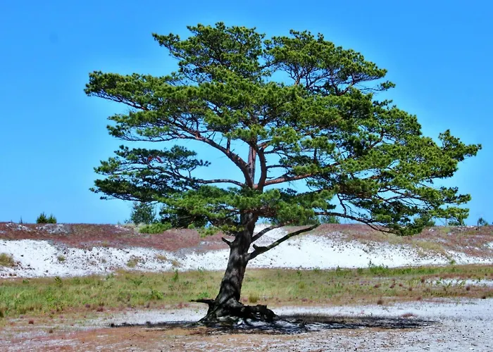 Strandnahe Mit Terrasse Und Parkplatz By Interhome Апартаменты *